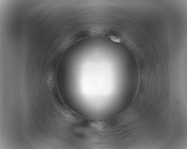 X0000063440079200601231337