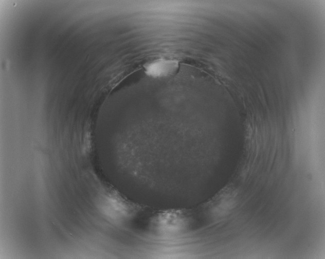X0000063440080200601231337