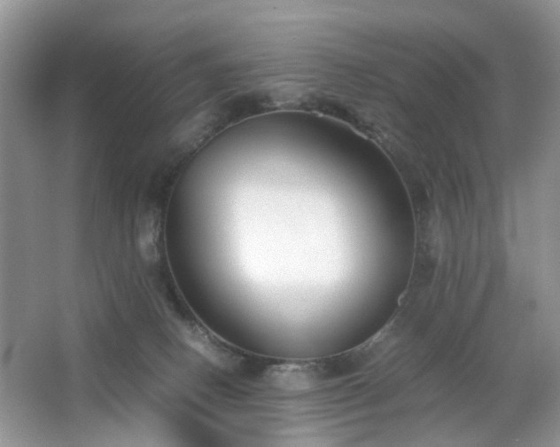 X0000063440082200601231337