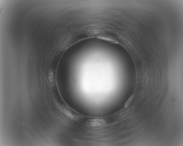 X0000063440087200601231337