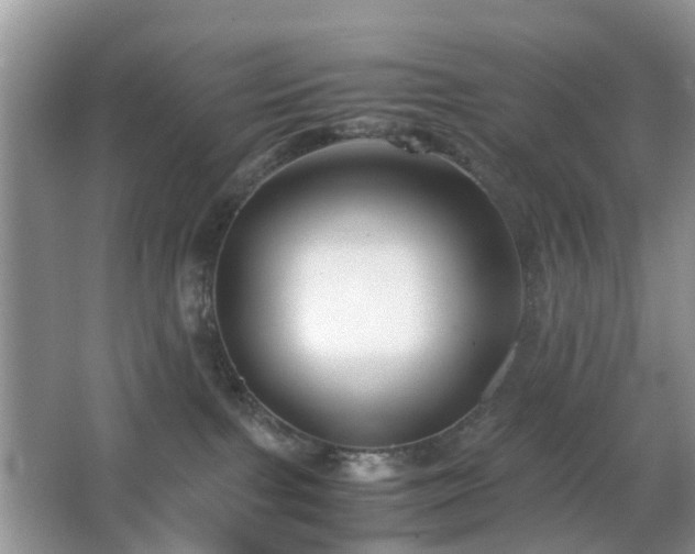 X0000063440091200601231337