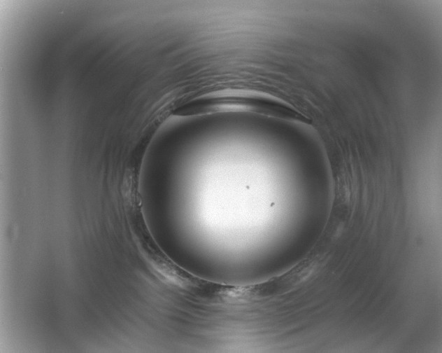 X0000063440092200601231337