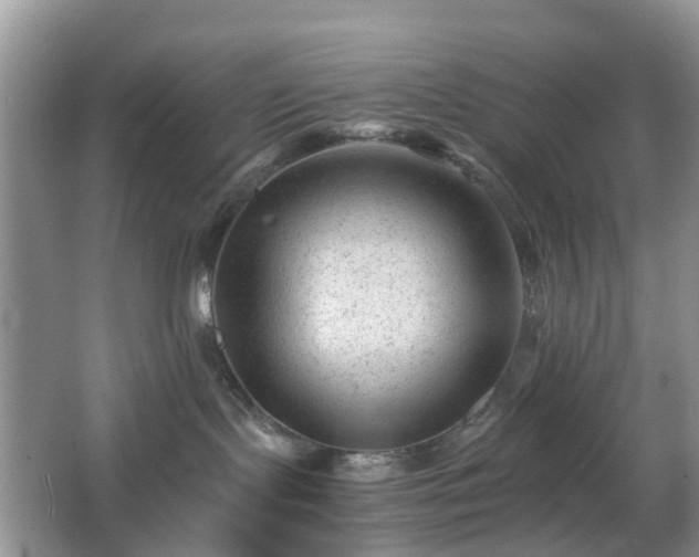 X0000063440095200601231337