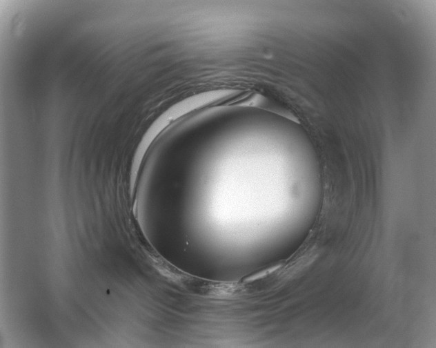 X0000063440096200601231337