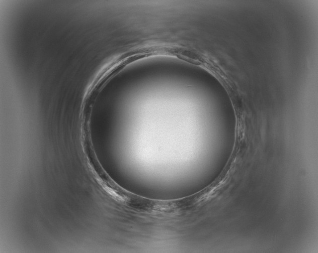 X0000063440101200601231336