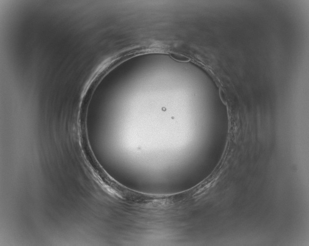 X0000063440102200601231336