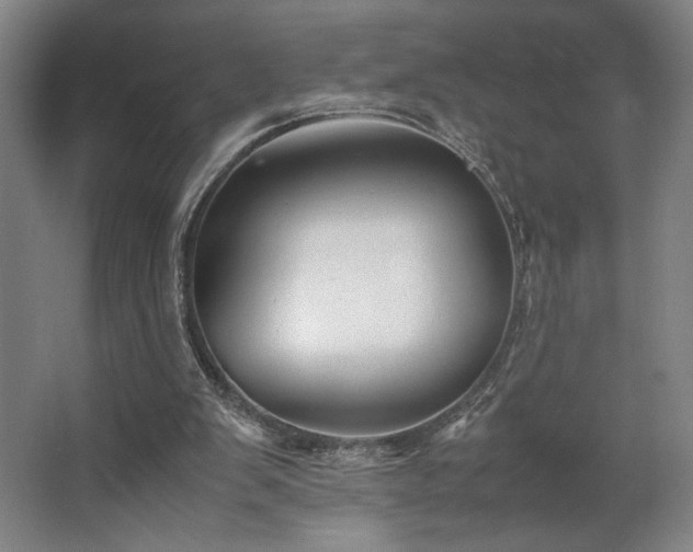 X0000063440103200601231336