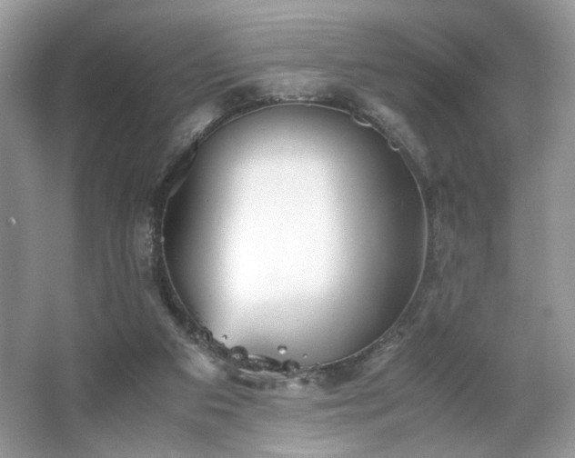 X0000063440113200601231336