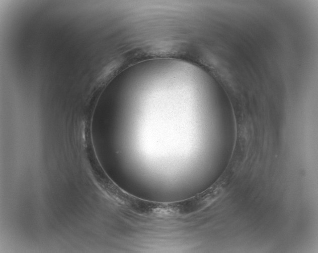 X0000063440115200601231336