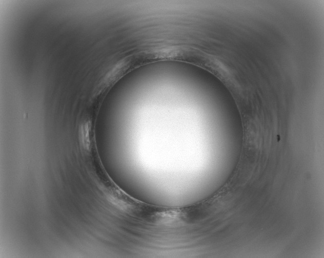 X0000063440118200601231336