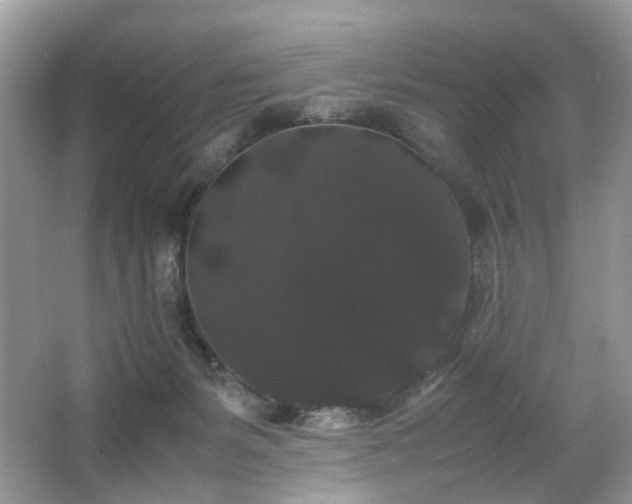 X0000063440127200601231336