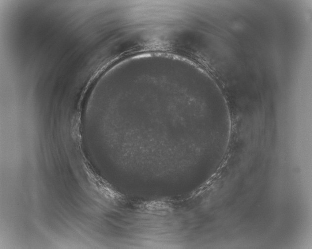 X0000063440146200601231335