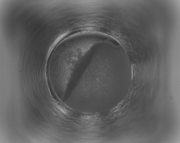 X0000063440147200601231335