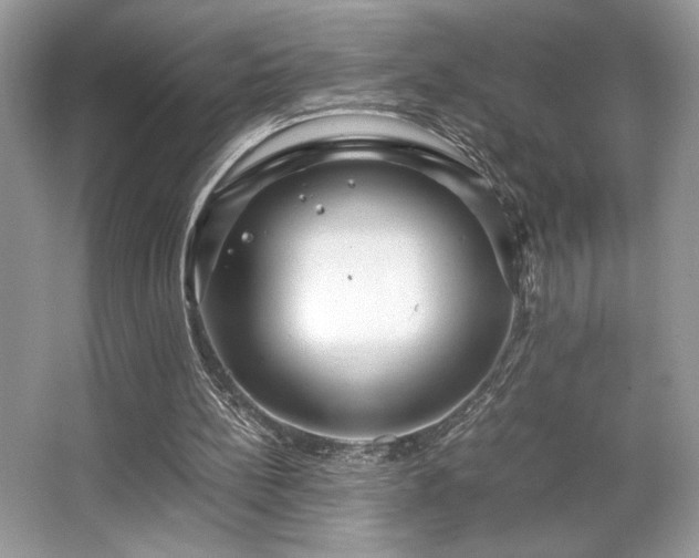 X0000063440148200601231335