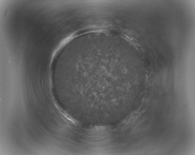 X0000063440149200601231335