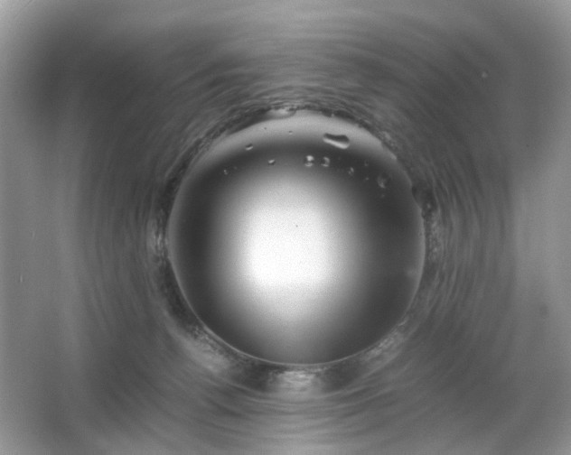 X0000063440176200601231335