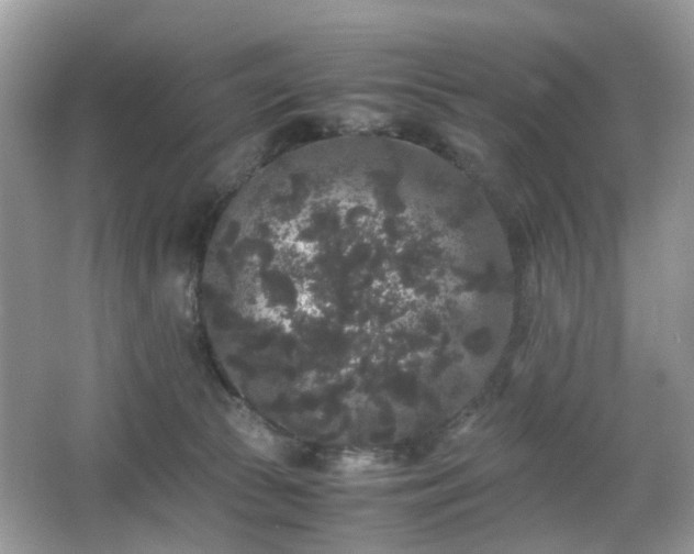 X0000063440177200601231335