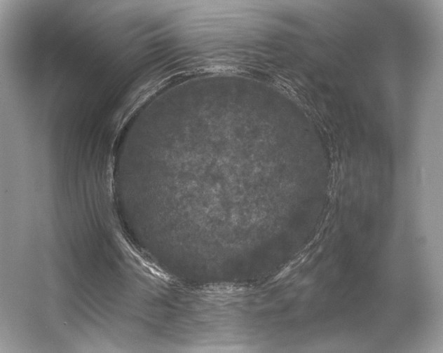 X0000063440194200601231335