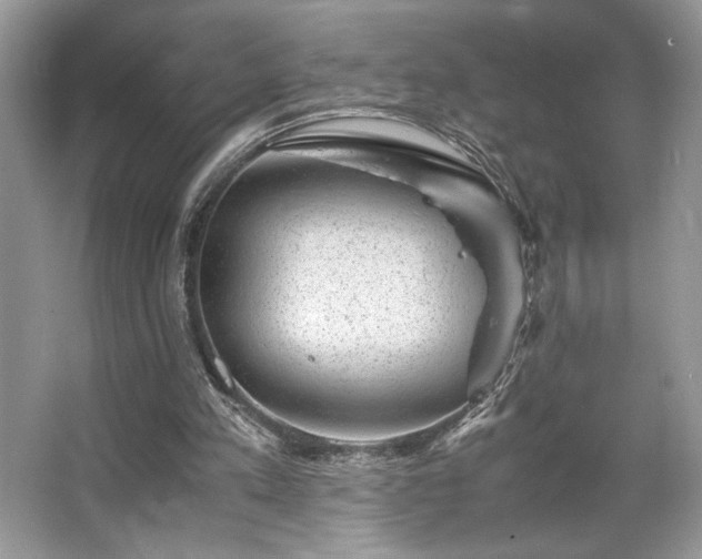 X0000063440197200601231334