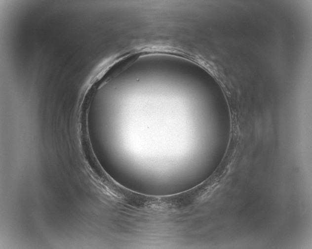 X0000063440199200601231334