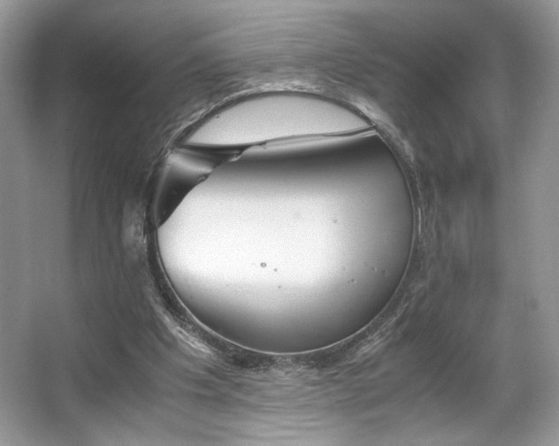 X0000063440201200601231334