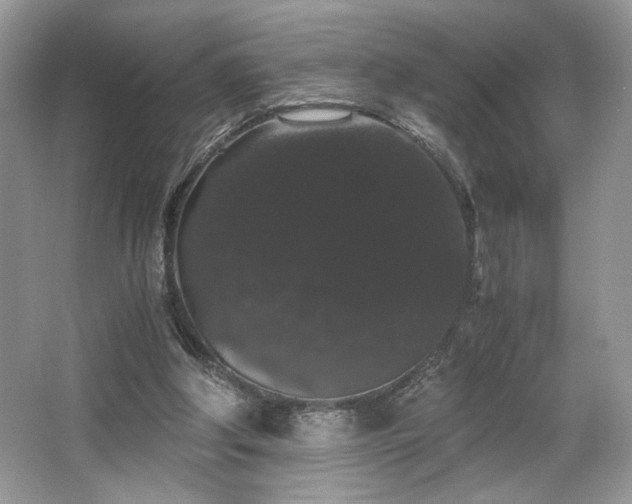 X0000063440202200601231334