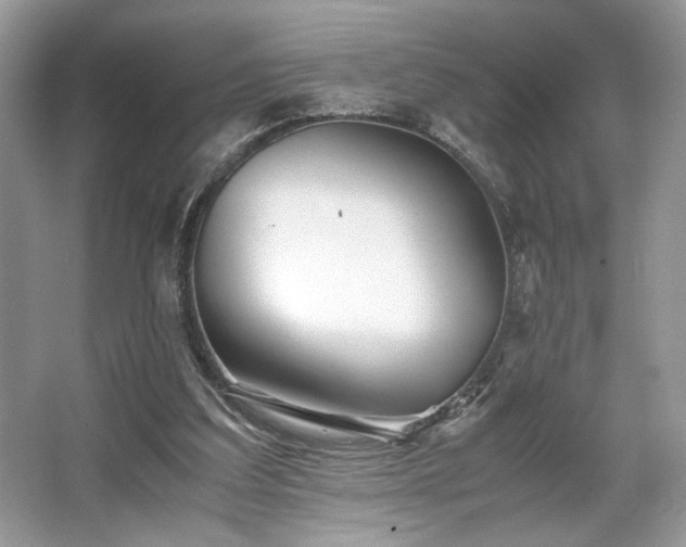 X0000063440203200601231334