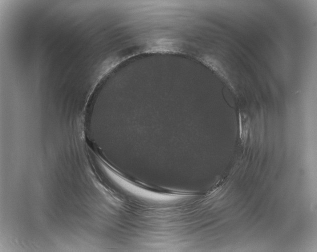 X0000063440204200601231334