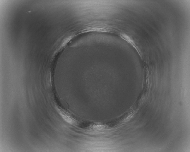 X0000063440205200601231334