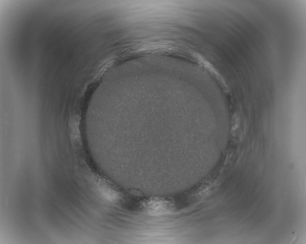 X0000063440209200601231334