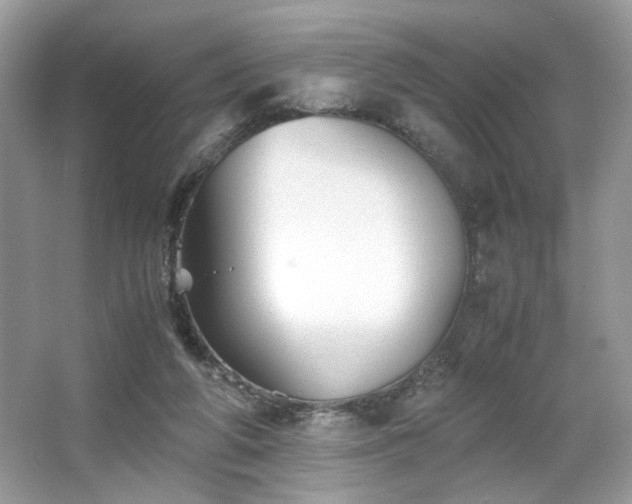 X0000063440210200601231334