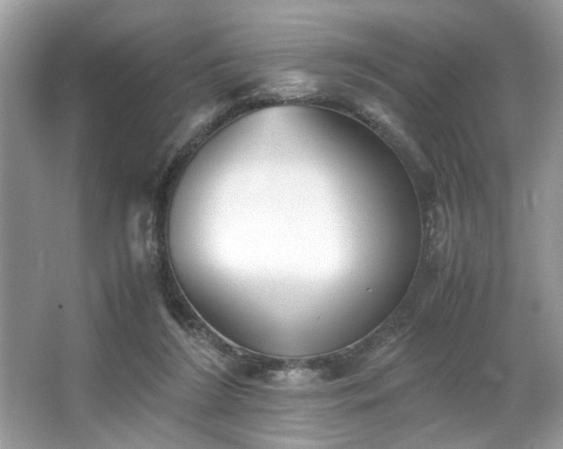 X0000063440212200601231334