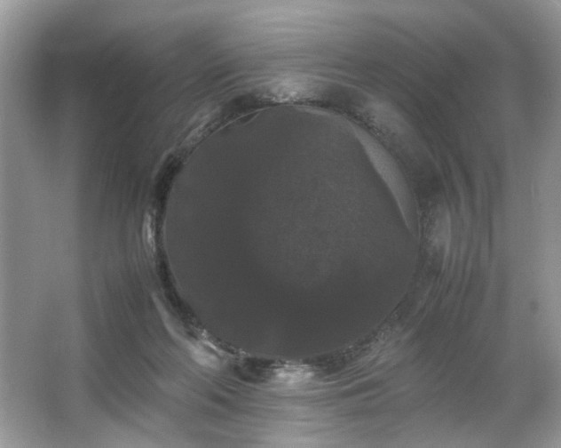 X0000063440214200601231334