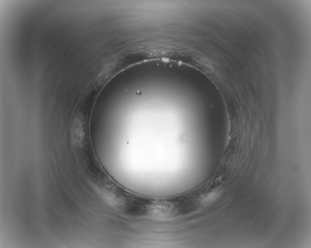 X0000063440215200601231334