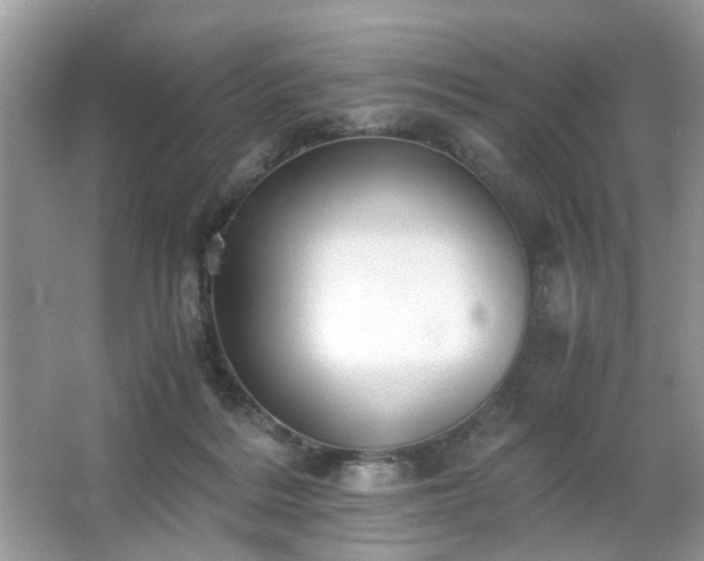 X0000063440220200601231334