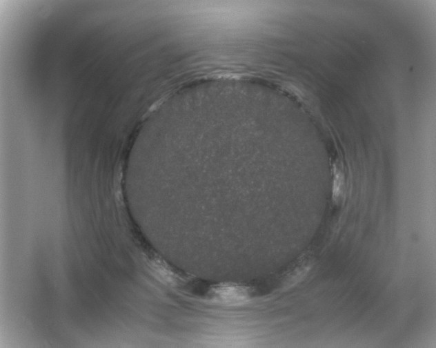 X0000063440221200601231334