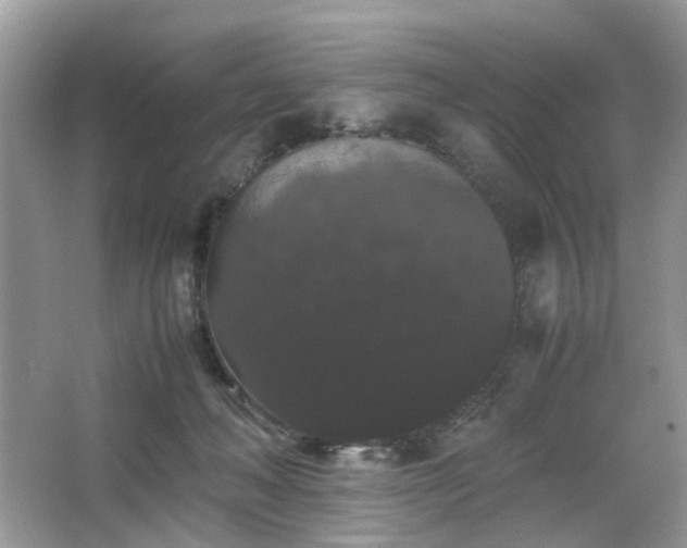 X0000063440222200601231334