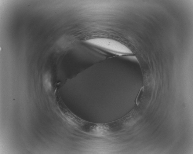 X0000063440223200601231334