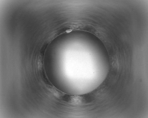 X0000063440226200601231334