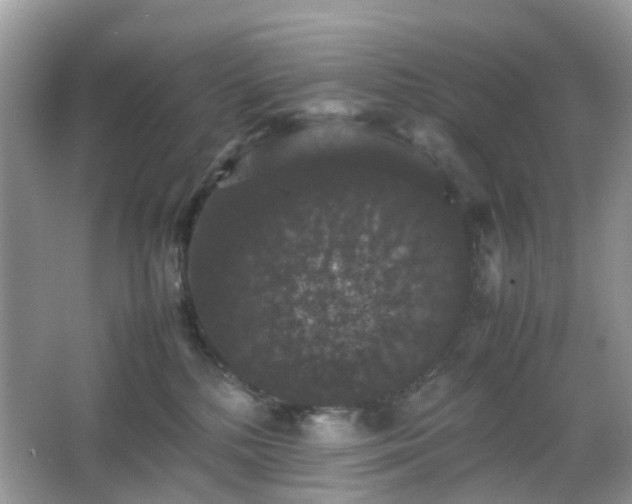 X0000063440232200601231334