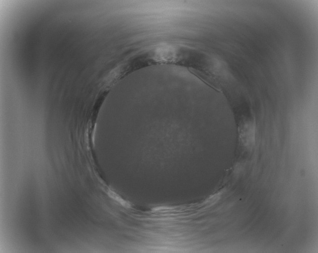 X0000063440233200601231334