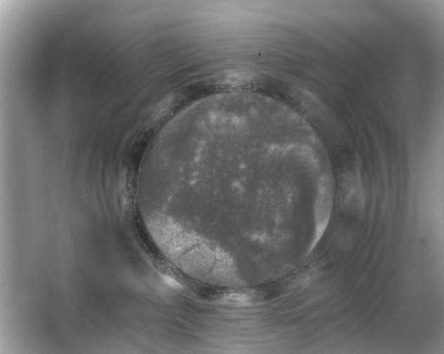 X0000063440236200601231334