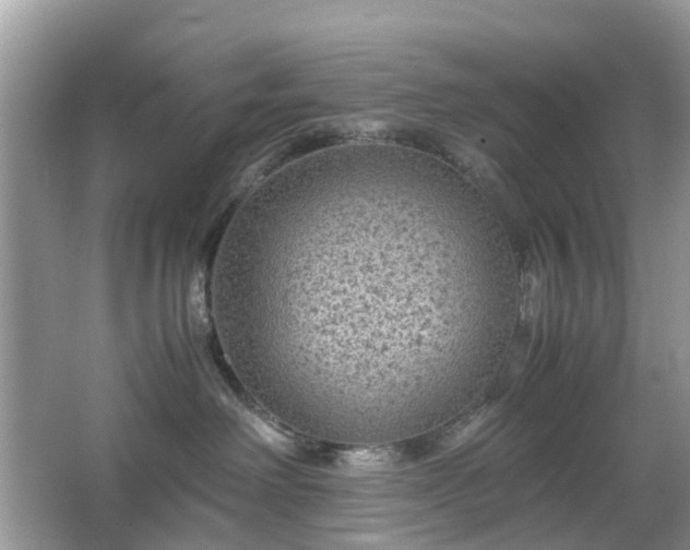 X0000063440238200601231334