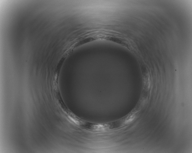 X0000063440239200601231334
