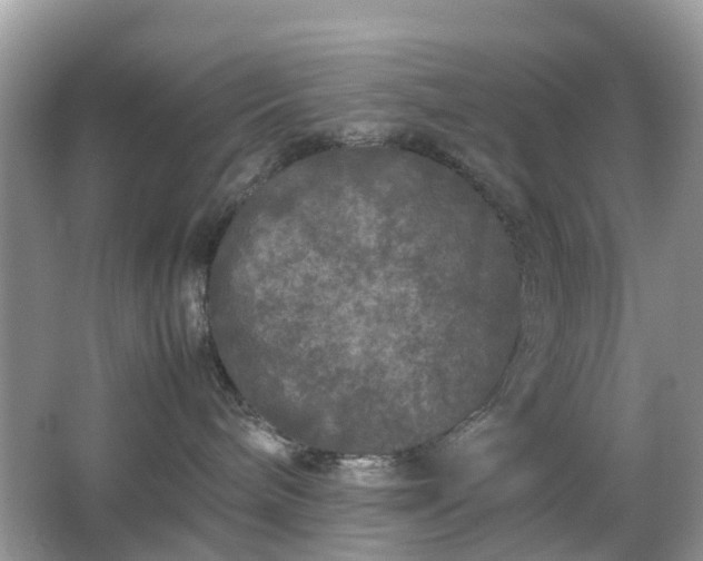 X0000063440240200601231334