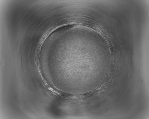 X0000063440241200601231333