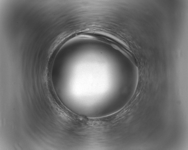 X0000063440242200601231333