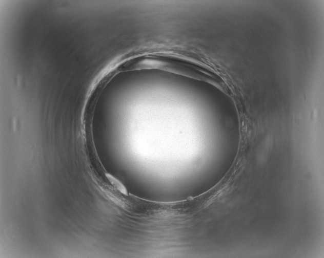 X0000063440246200601231333