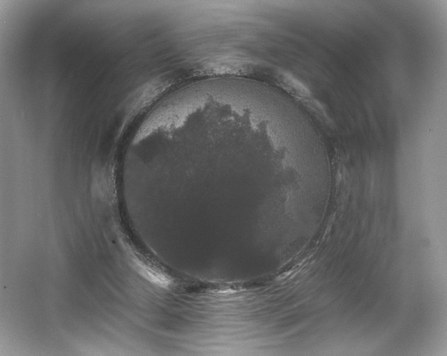 X0000063440250200601231333
