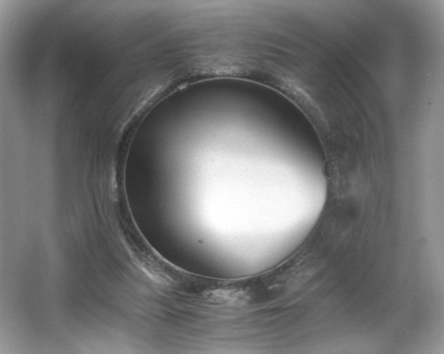 X0000063440251200601231333